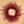 Orange Hawthorn Berry Wreath with Autumn Accents - 18" - 
    Red