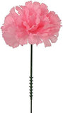 Pink Silk Carnation Picks