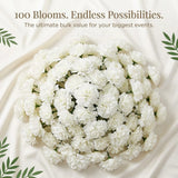 00 Candle White Silk Carnation Picks for Weddings, DIY Decor, Bulk Carnations - 3.5" Carnation Heads with Unattached 5" Stems - Lifelike and Versatile Floral Accessories