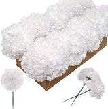 Artificial Silk White Carnation Heads, 3.5" Blooms, Detachable 5" Stems, 100-Pack