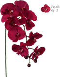 Burgundy Phalaenopsis Orchid Stems - 33.5-Inch Realistic Silk Flowers for Arrangements, Parties, Home & Office Decor, 2-Piece Set in a Bag, Floral Home by Artificial Flowers