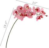 Pink Real Touch Artificial Orchid Stems – 33.5"" Faux Phalaenopsis Flowers