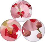 Pink Real Touch Artificial Orchid Stems – 33.5"" Faux Phalaenopsis Flowers