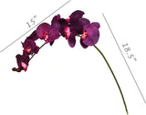 Purple Phalaenopsis Orchid Stems 33.5"" Real Touch Faux Flowers for Weddings, Home Décor