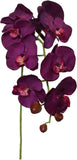 Purple Phalaenopsis Orchid Stems 33.5