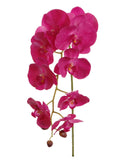 Pink Artificial Phalaenopsis Stem - 33.5"