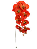 Pink Artificial Phalaenopsis Stem - 33.5"