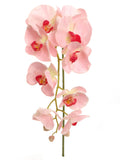 Pink Artificial Phalaenopsis Stem - 33.5"