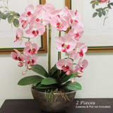 2-Pack: Pink Phalaenopsis Orchid Stem, Floral Home by Artificial Flowers