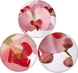2-Pack: Pink Phalaenopsis Orchid Stem, Floral Home by Artificial Flowers