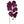 Pink Artificial Phalaenopsis Stem - 33.5" - 
    Purple