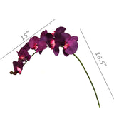 Pink Artificial Phalaenopsis Stem - 33.5"