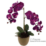 Pink Artificial Phalaenopsis Stem - 33.5"