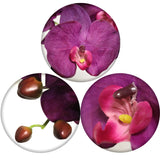 Pink Artificial Phalaenopsis Stem - 33.5"