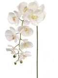 Pink Artificial Phalaenopsis Stem - 33.5"