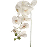 Pink Artificial Phalaenopsis Stem - 33.5"