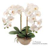 Pink Artificial Phalaenopsis Stem - 33.5"