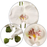 Pink Artificial Phalaenopsis Stem - 33.5"