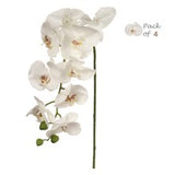 Real Touch White Phalaenopsis Orchid Stems, Bundle of 4