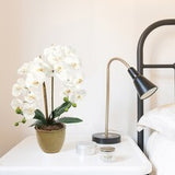 Real Touch White Phalaenopsis Orchid Stems, Bundle of 4