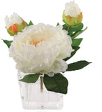 Handcrafted 'Bowl of Cream' Artificial Peony Silk Flowers in Vase - Real Look Herbaceous Perennial Peonies with Golden Yellow Accents for Home Office Decor, Elegant Table Centerpieces