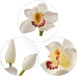 Elegant 30" Cymbidium Stem 10F/2BD: Perfect for Wedding Arrangements, Exquisite Home Centerpieces & Premium Event Décor, Floral Home by Artificial Flowers