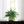 Fake Boston Fern Plant with 50 Silk Fronds - 34" - 
    Green