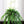 Artificial Boston Fern - 82" Diameter - 
    Green