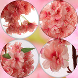 Pink Cherry Blossom Branch Sprays with Lifelike Silk Flowers (3 Pack) - 30", Floral Home by Artificial Flowers