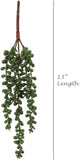 13-Inch Hanging Succulent Plant Strand with 3 Pearls - Lifelike Durable and Easy-to-Hang Decor for Indoor/Outdoor Spaces - Perfect for Home, Office, Events
