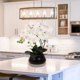 White Phalaenopsis Orchid with 7" Black Round Pot