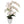 25 Inch Phalaenopsis Orchid Floral Arrangement in Decorative White Ceramic Vase. 17... - 
    White Vase
