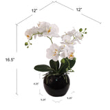 13-Inch Fuchsia Phalaenopsis Orchid Flowers in 5-Inch Round White Vase