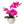 13-Inch Fuchsia Phalaenopsis Orchid Flowers in 5-Inch Round White Vase - 
    Fuchsia Flower - White Vase