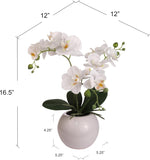 Orchid Arrangement in Vase