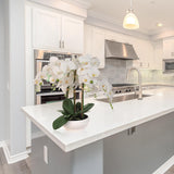 White Phalaenopsis Orchid Arrangement - 19"x13" Artificial 9-Bowl