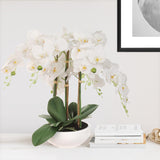 Elegant White Phalaenopsis Orchid Arrangement - 19"x13" Artificial 9-Bowl Display, Lifelike Faux Orchids, Home Décor Accent, Office Centerpiece, Gift Idea