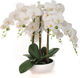 Elegant White Phalaenopsis Orchid Arrangement - 19"x13" Artificial 9-Bowl Display, Lifelike Faux Orchids, Home Décor Accent, Office Centerpiece, Gift Idea