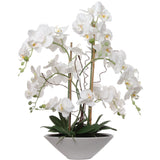 Artificial Phalaenopsis Orchid in White Pot - 24.8"