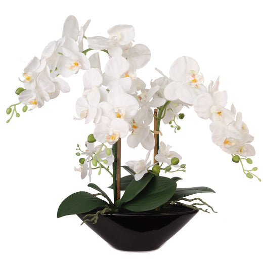 Artificial Phalaenopsis Orchid with 5 Buds in White Vase - 20"