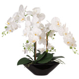Artificial Phalaenopsis Orchid with 5 Buds in White Vase - 20