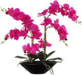 Phalaenopsis Orchid 20" with 6 Buds in Black Vase - Lifelike Silk Flower Arrangement for Elegant Home & Office Decor - Realistic Orchid Design