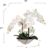 Stunning 20" White Phalaenopsis with 6 Blossoms in 11" White Modern Boat Vase - Elegant Silk Orchid for Home and Office Decor
