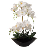 19" White Phalaenopsis Orchid Flowers in Black Ceramic Vase, Floral Home by Artificial Flowers