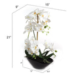 19" White Phalaenopsis Orchid Flowers in Black Ceramic Vase, Floral Home by Artificial Flowers