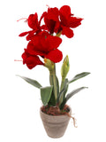 19" Red Velvet Amaryllis Artificial Flower - Realistic Faux Floral Decor Pack of 6, Floral Home by Artificial Flowers