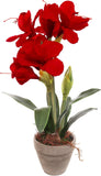 Red Velvet Artificial Amaryllis Flowers, Set of 6 - 19