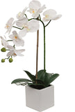 White Phalaenopsis in 5" Cube White Pot, Elegant Lifelike Orchid, Ideal for Home, Office, and Tabletop Decor
