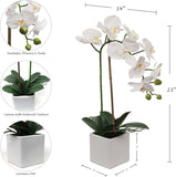 White Phalaenopsis in 5" Cube White Pot, Elegant Lifelike Orchid, Ideal for Home, Office, and Tabletop Decor