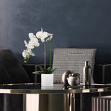 White Phalaenopsis in 5" Cube White Pot, Elegant Lifelike Orchid, Ideal for Home, Office, and Tabletop Decor